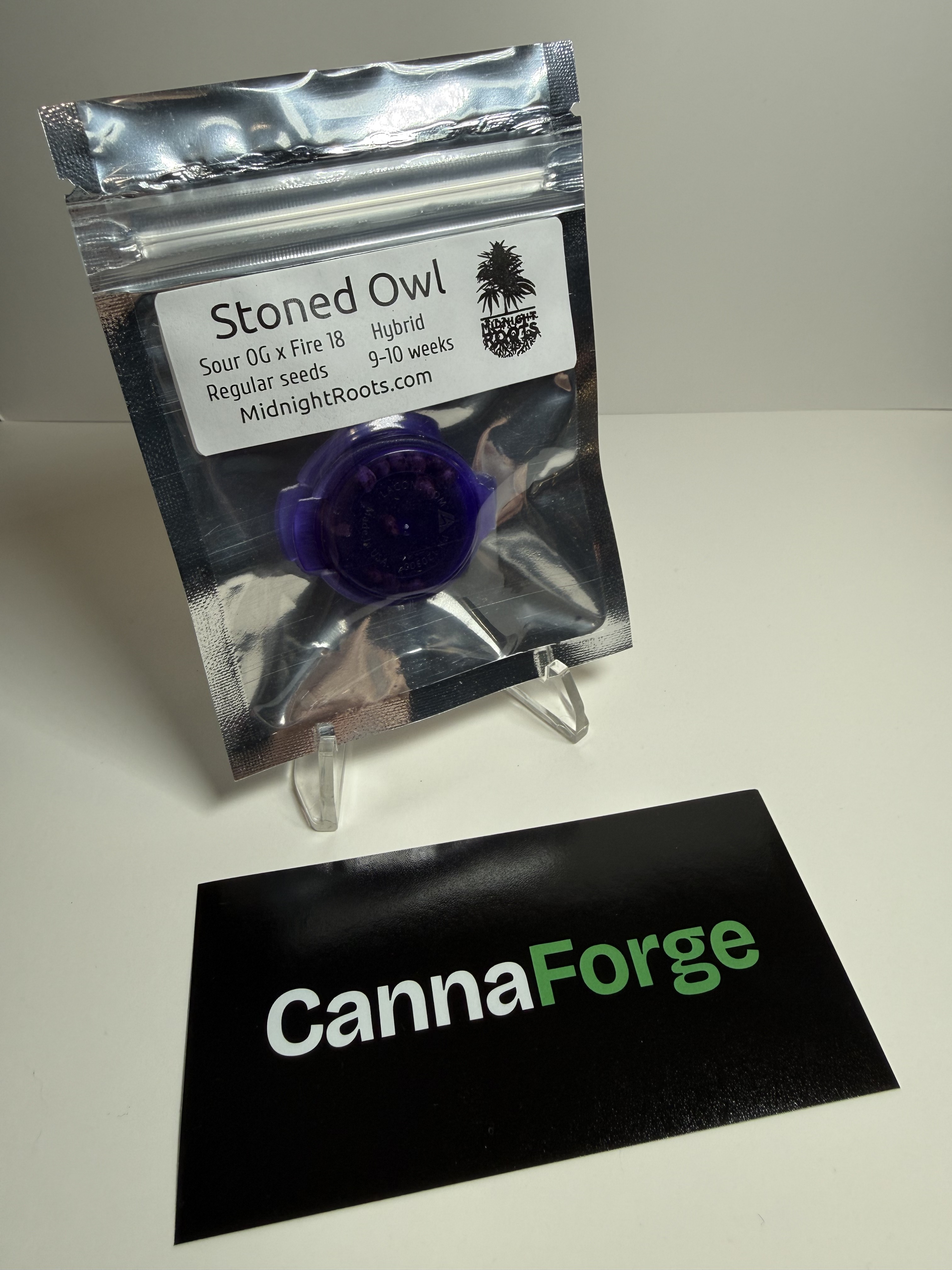 New listing: Stoned Owl