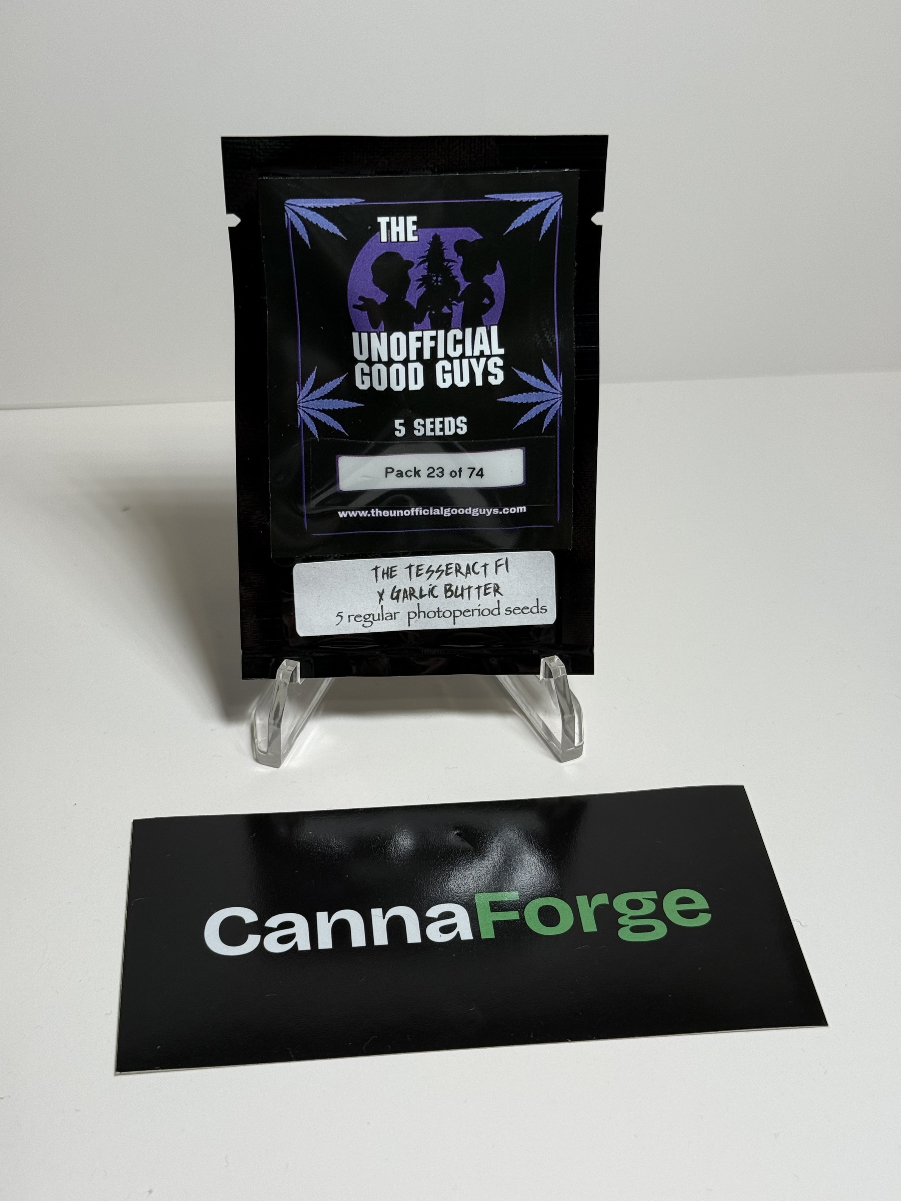 The Tesseract x Garlic Butter