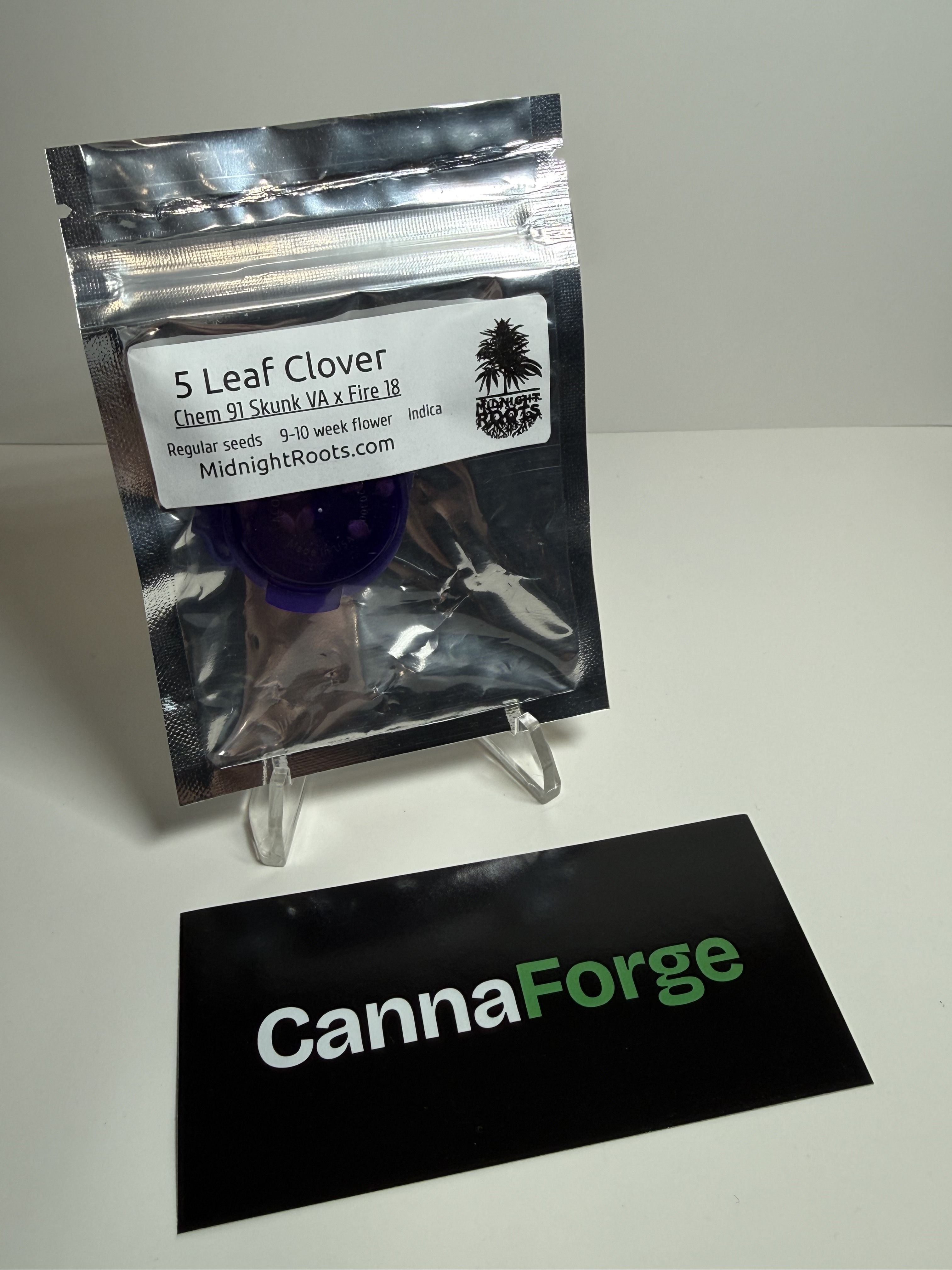 5 Leaf Clover