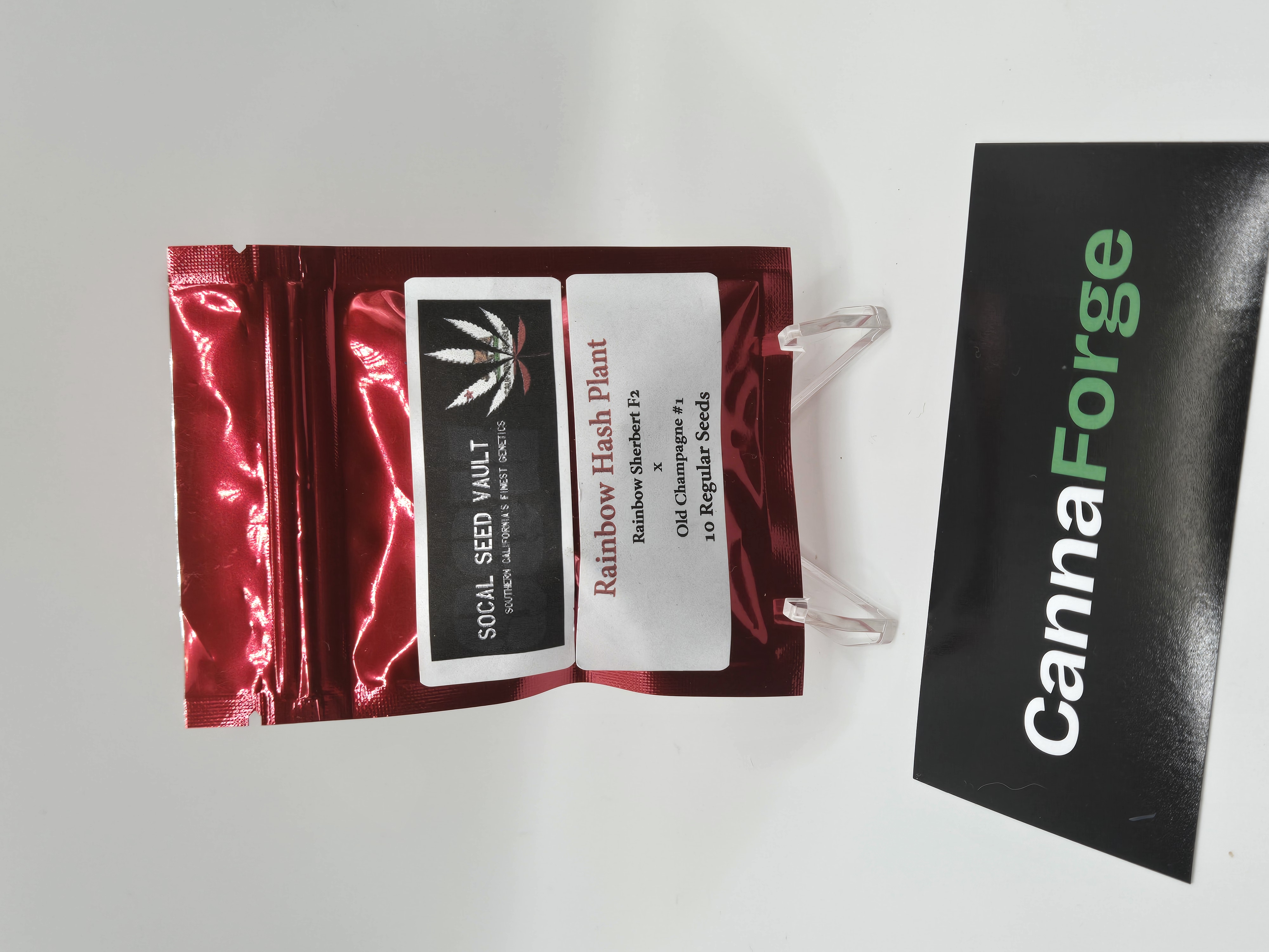 New listing: Rainbow Hash Plant