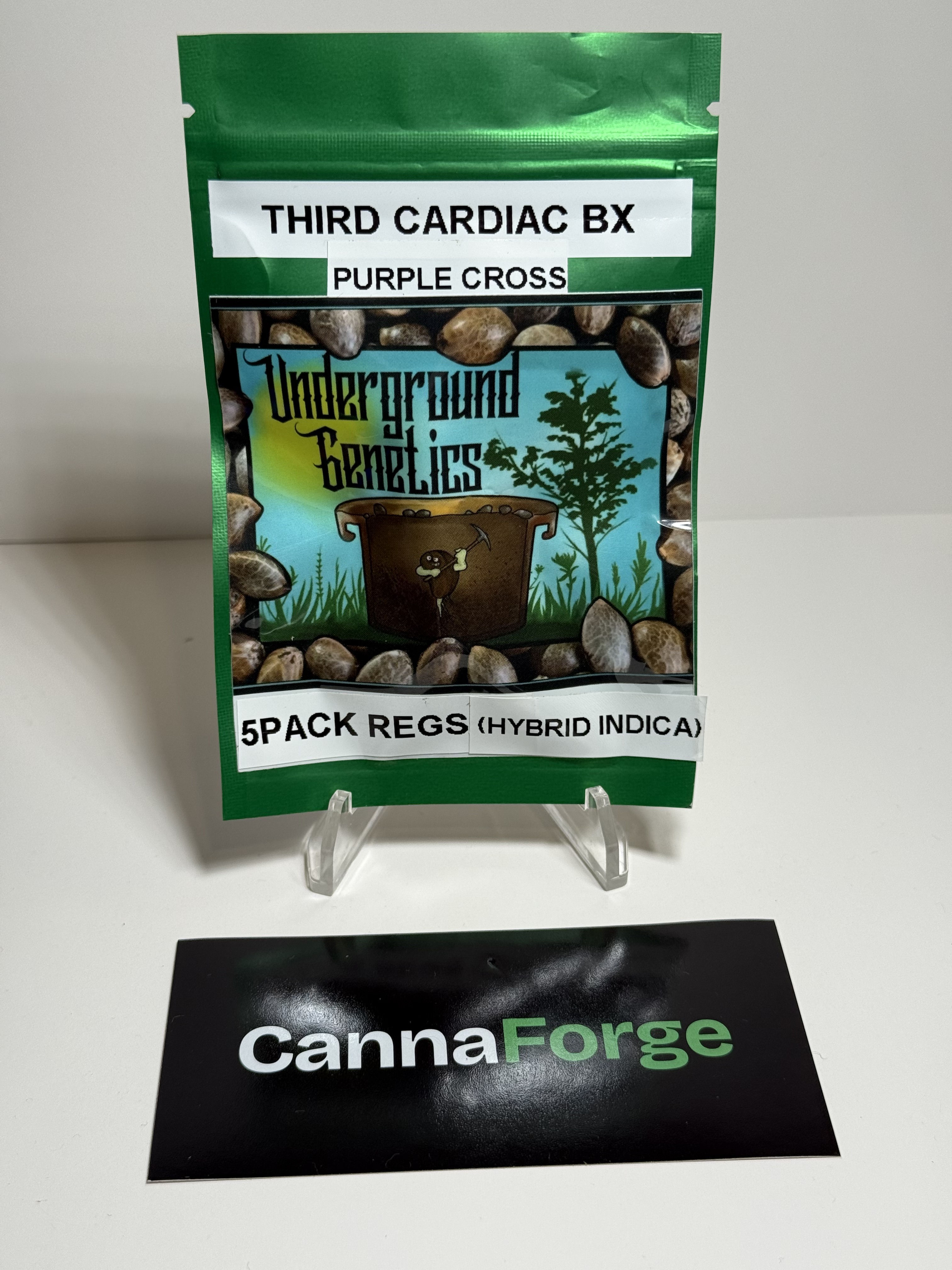 Third Cardiac BX