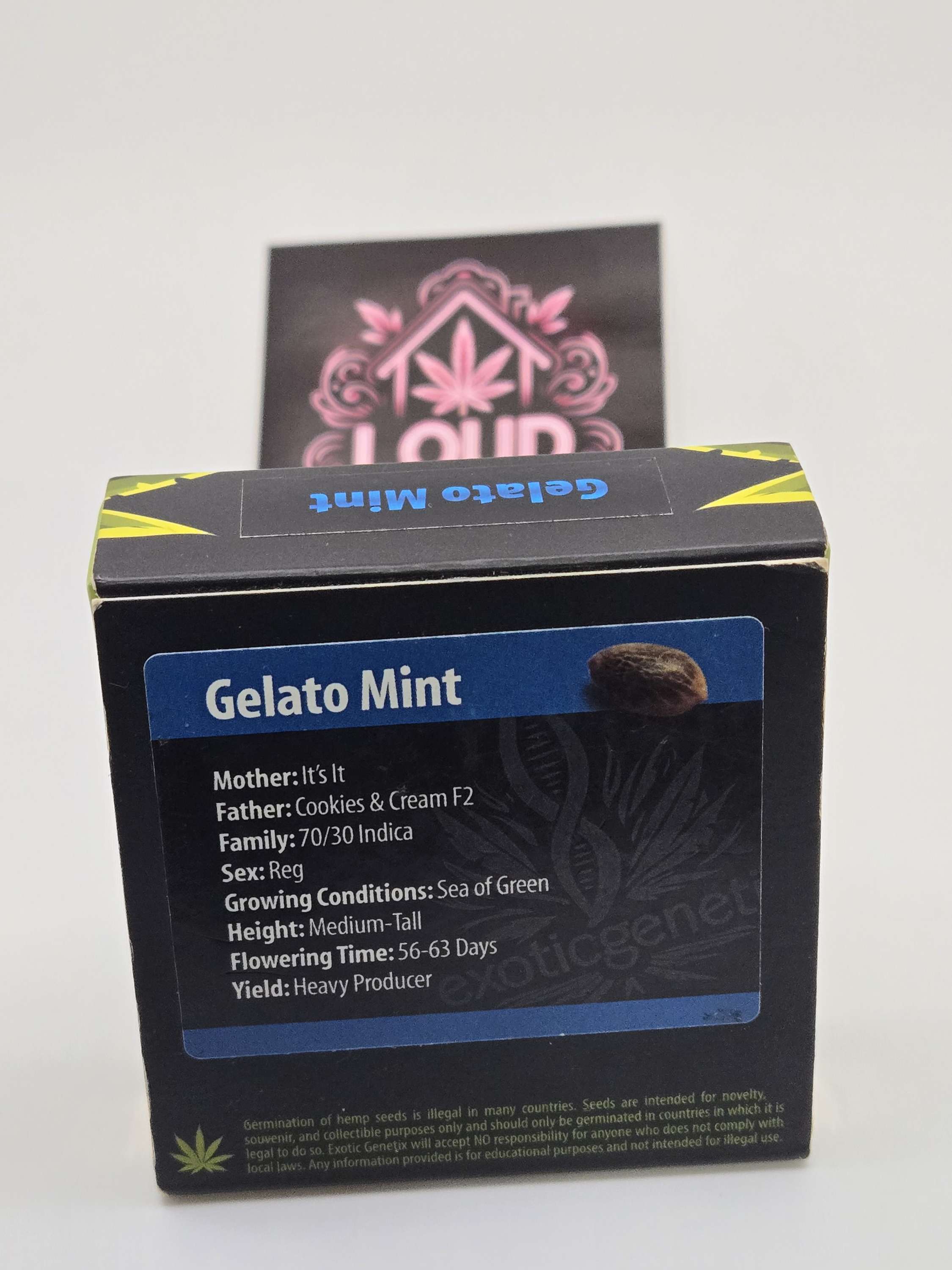 Gelato Mint