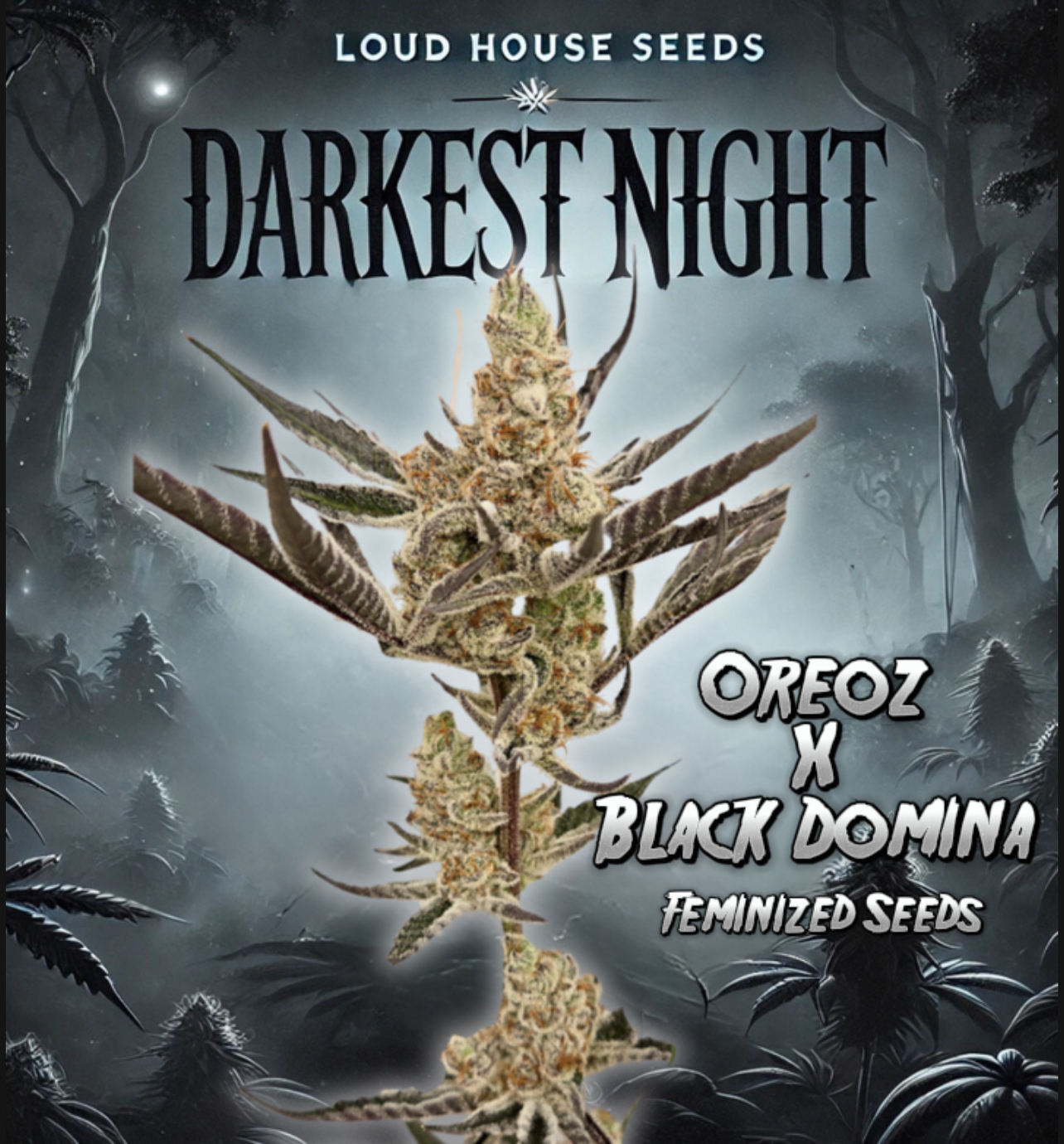 Darkest Night — image 1