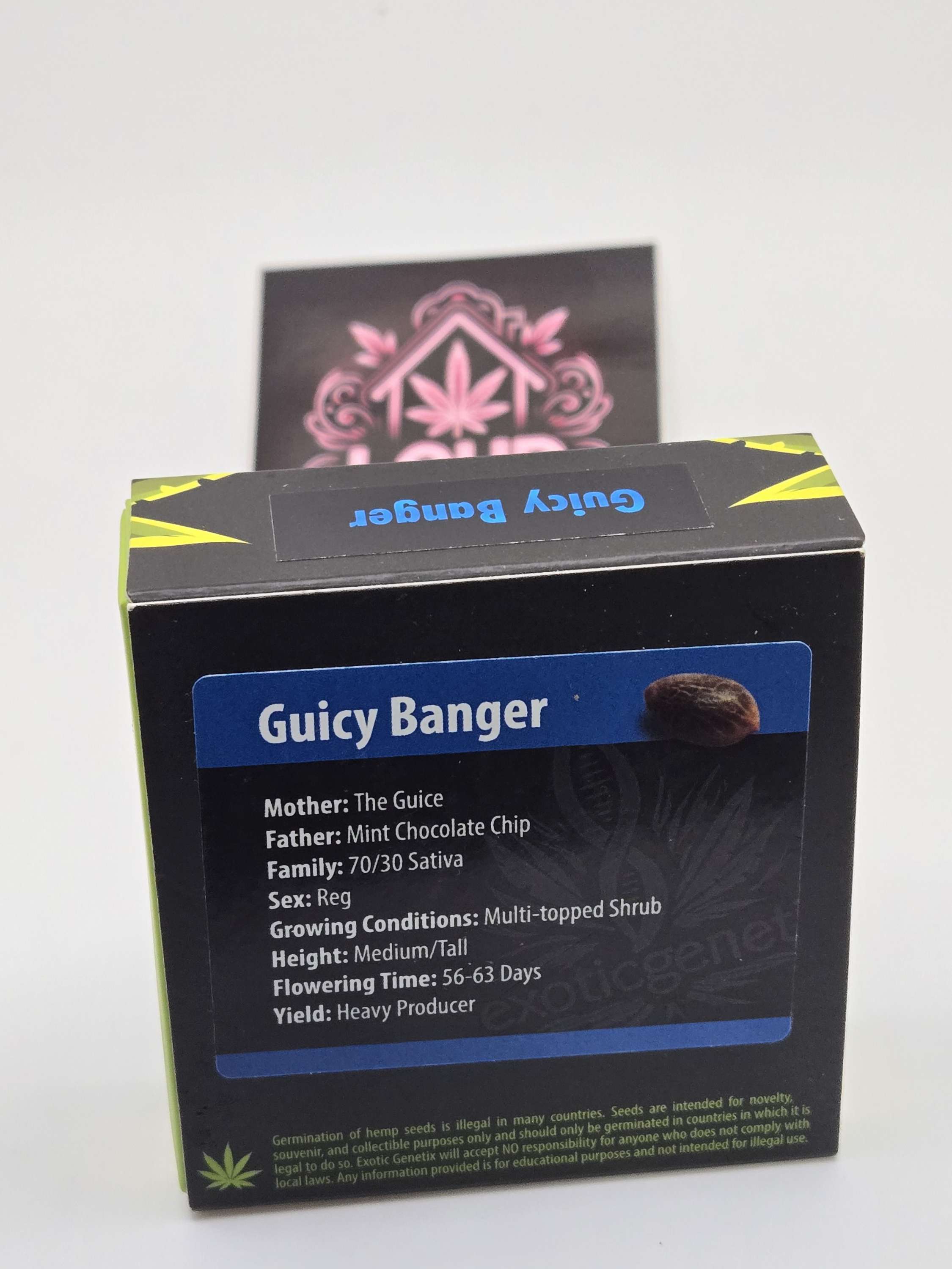Guicy Banger