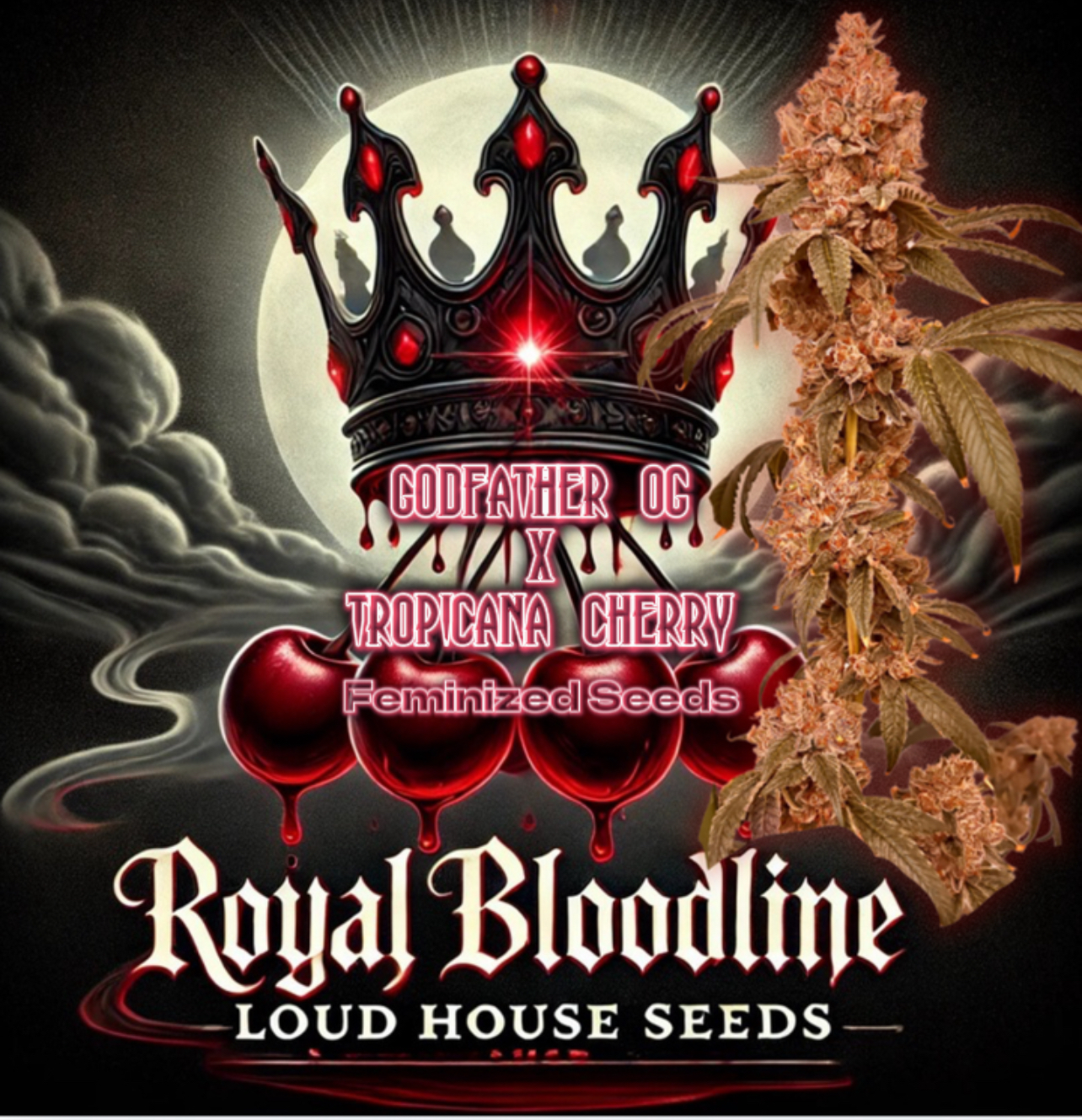 Royal Bloodline