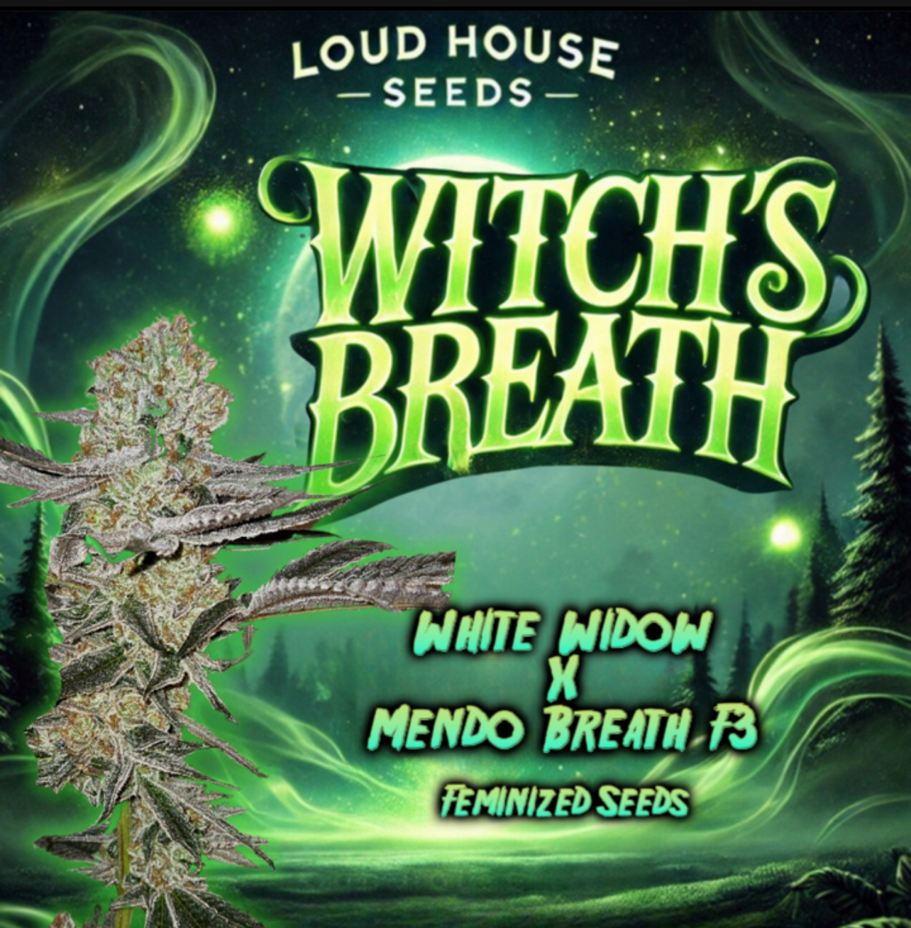 Witch’s Breath — image 1