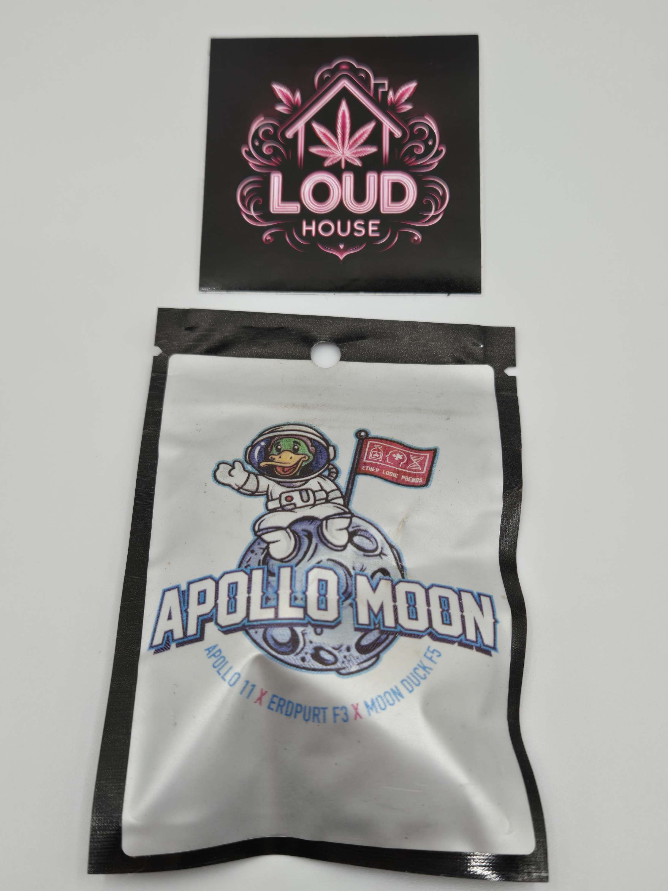 Apollo Moon