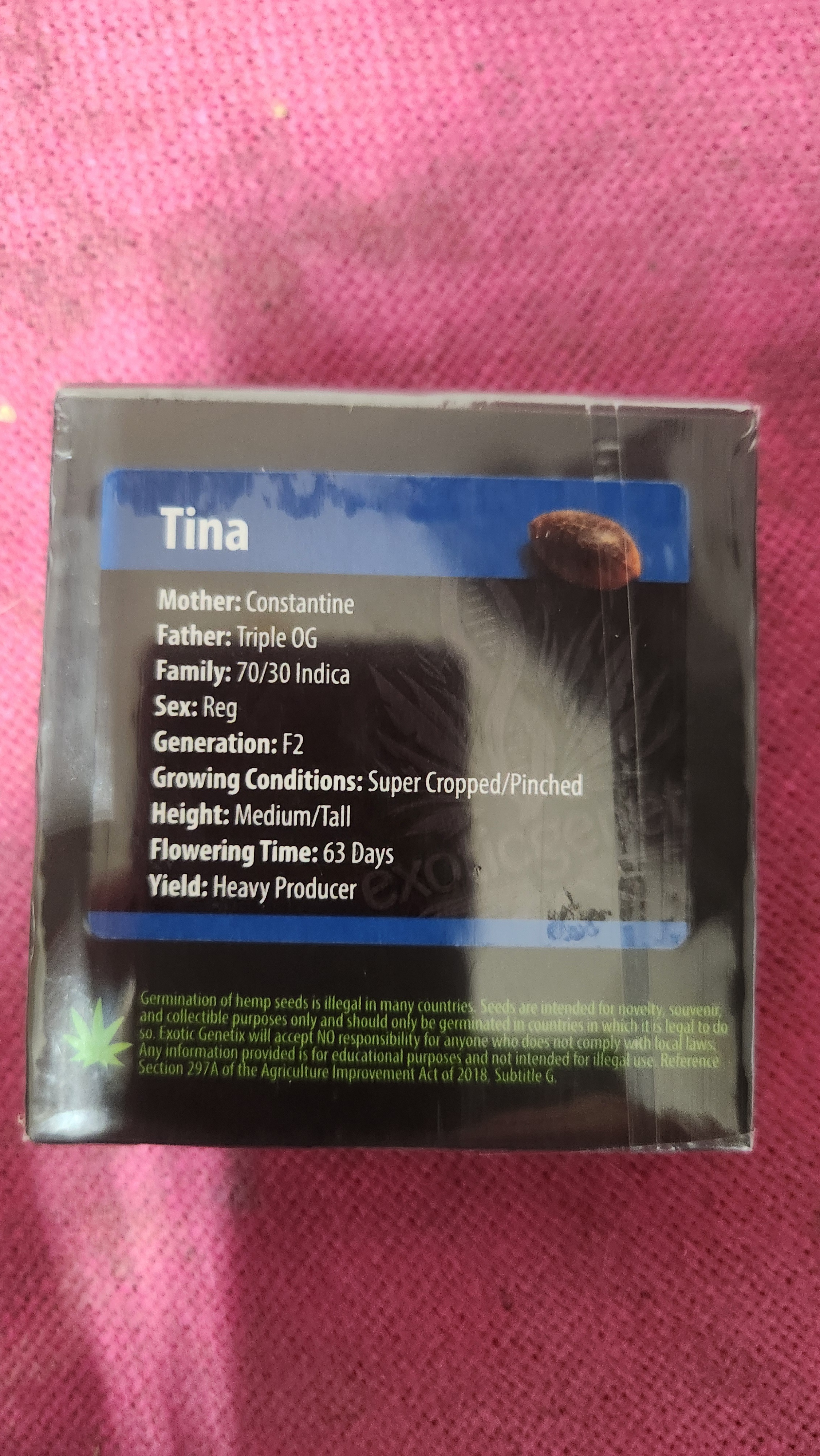 Tina — image 1
