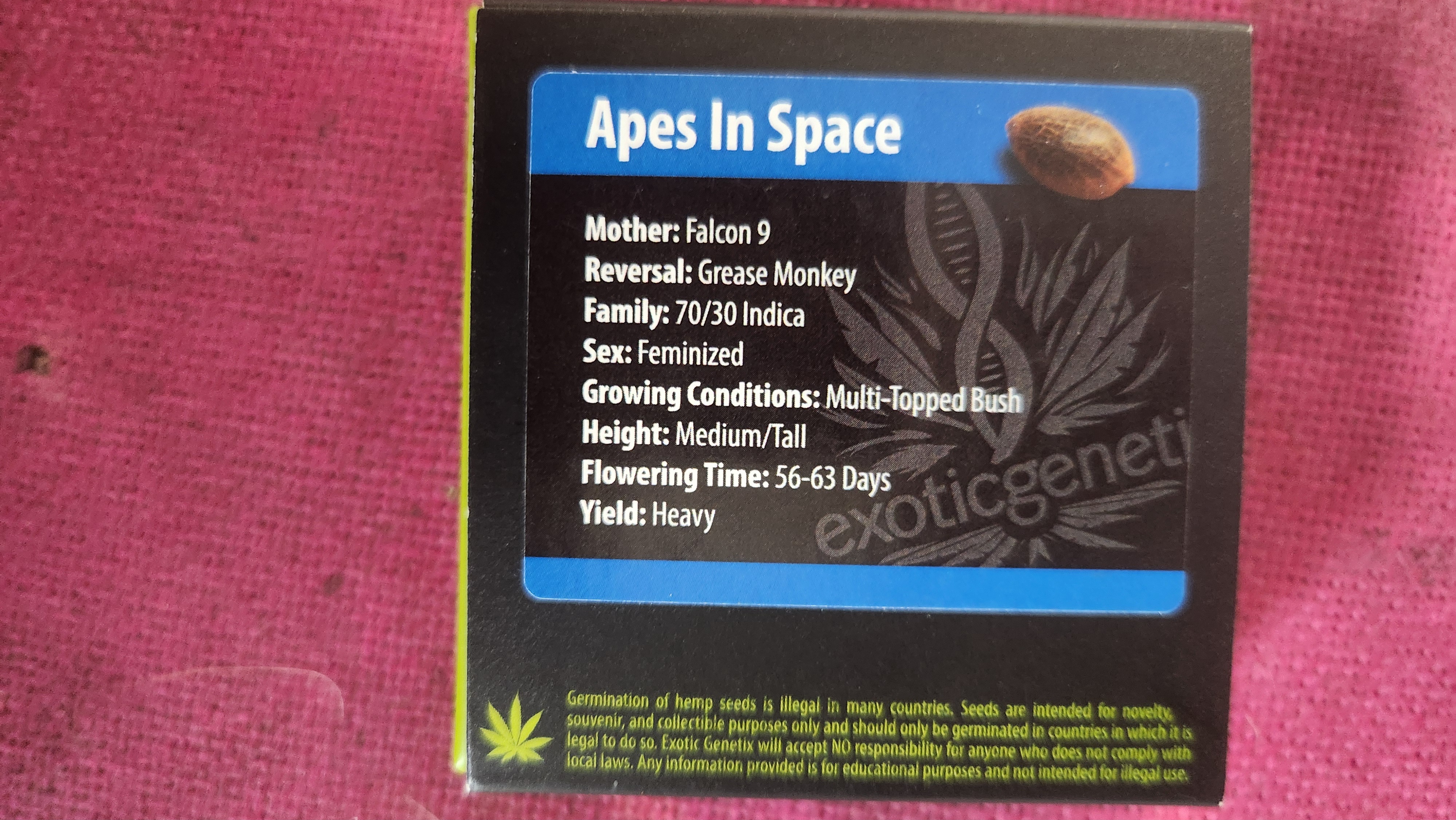 Apes In Space — image 1
