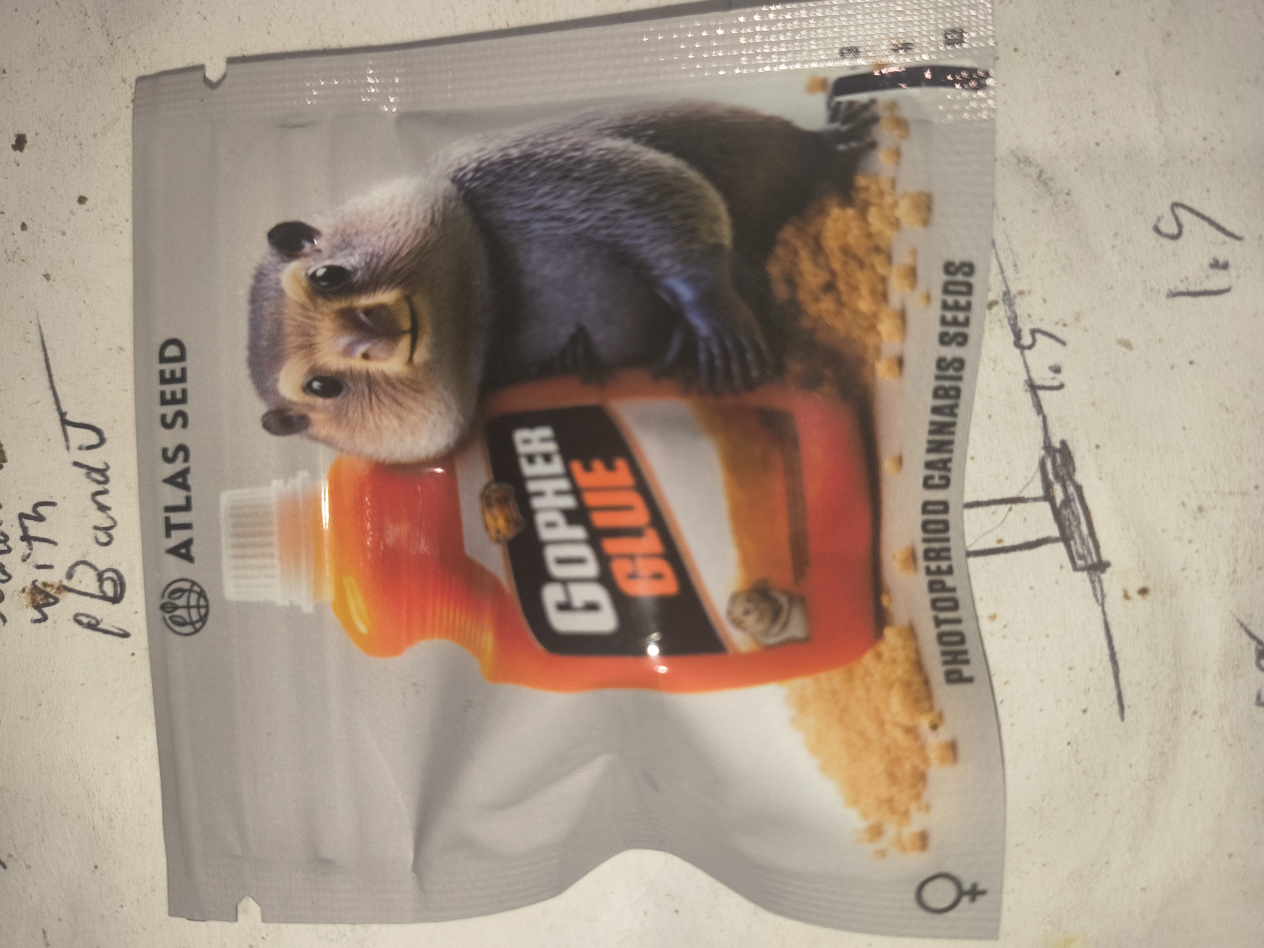 Gopher glue — image 1