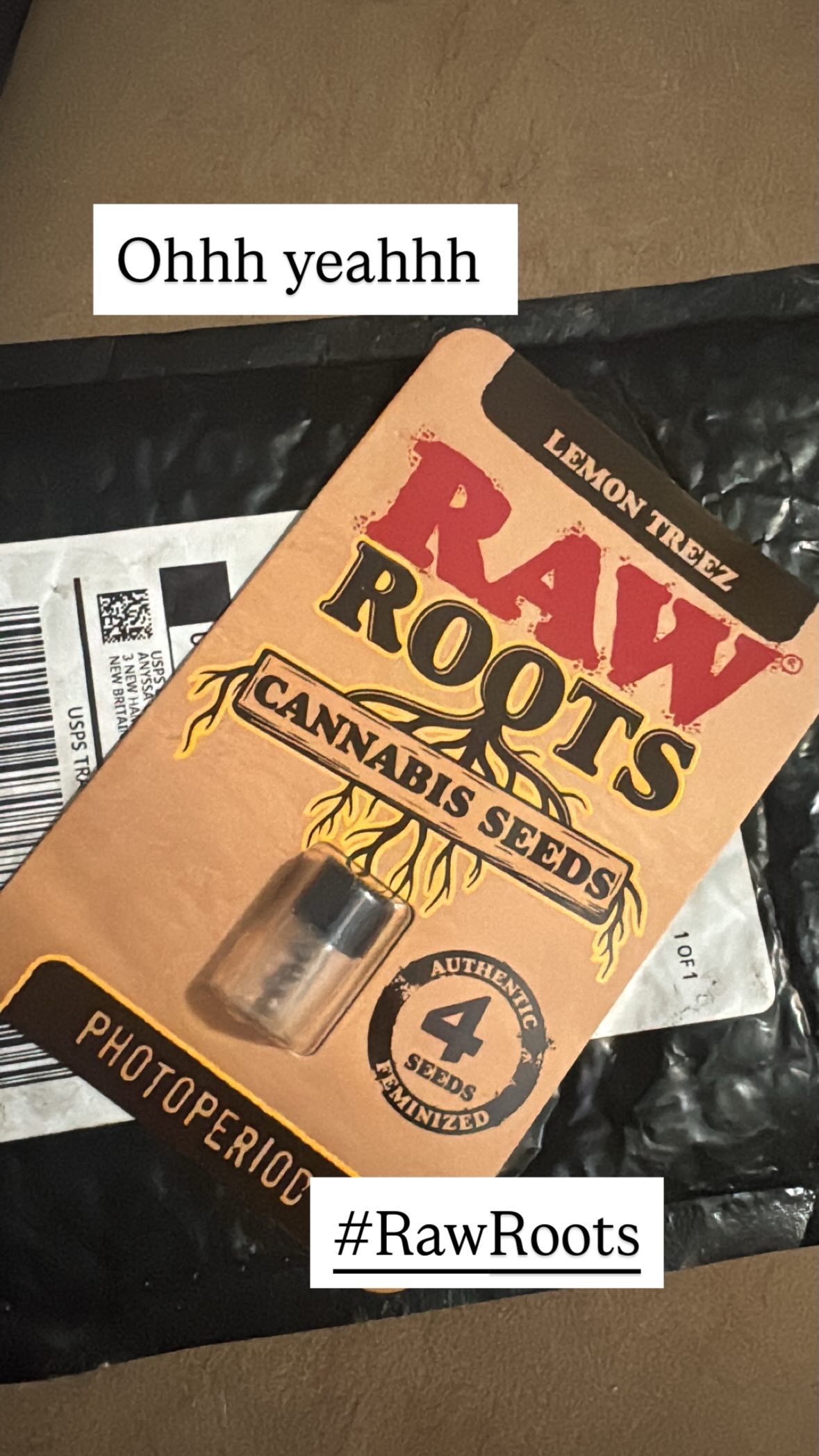 Lemon Treez — image 1