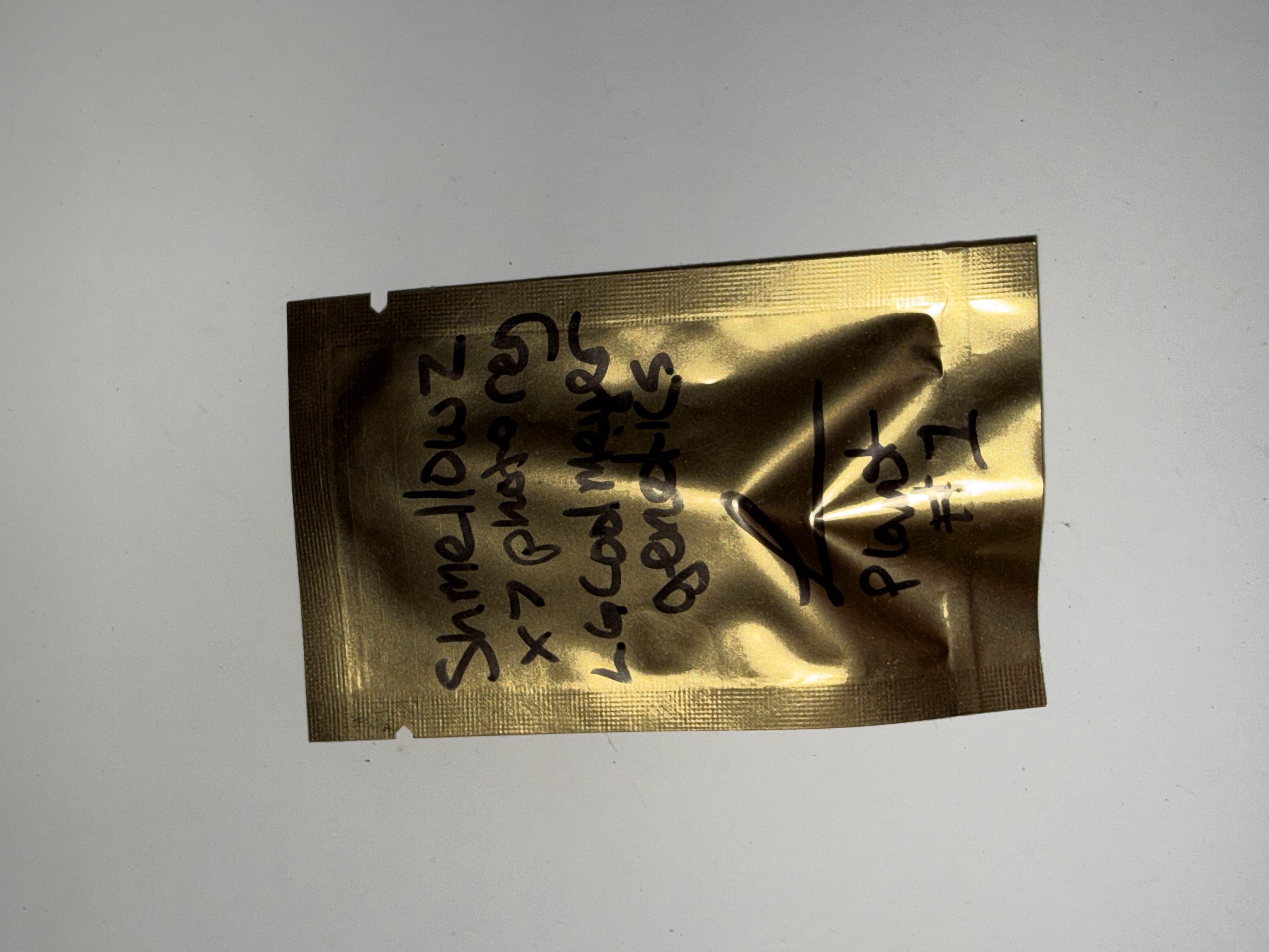 Shmellowz — image 1
