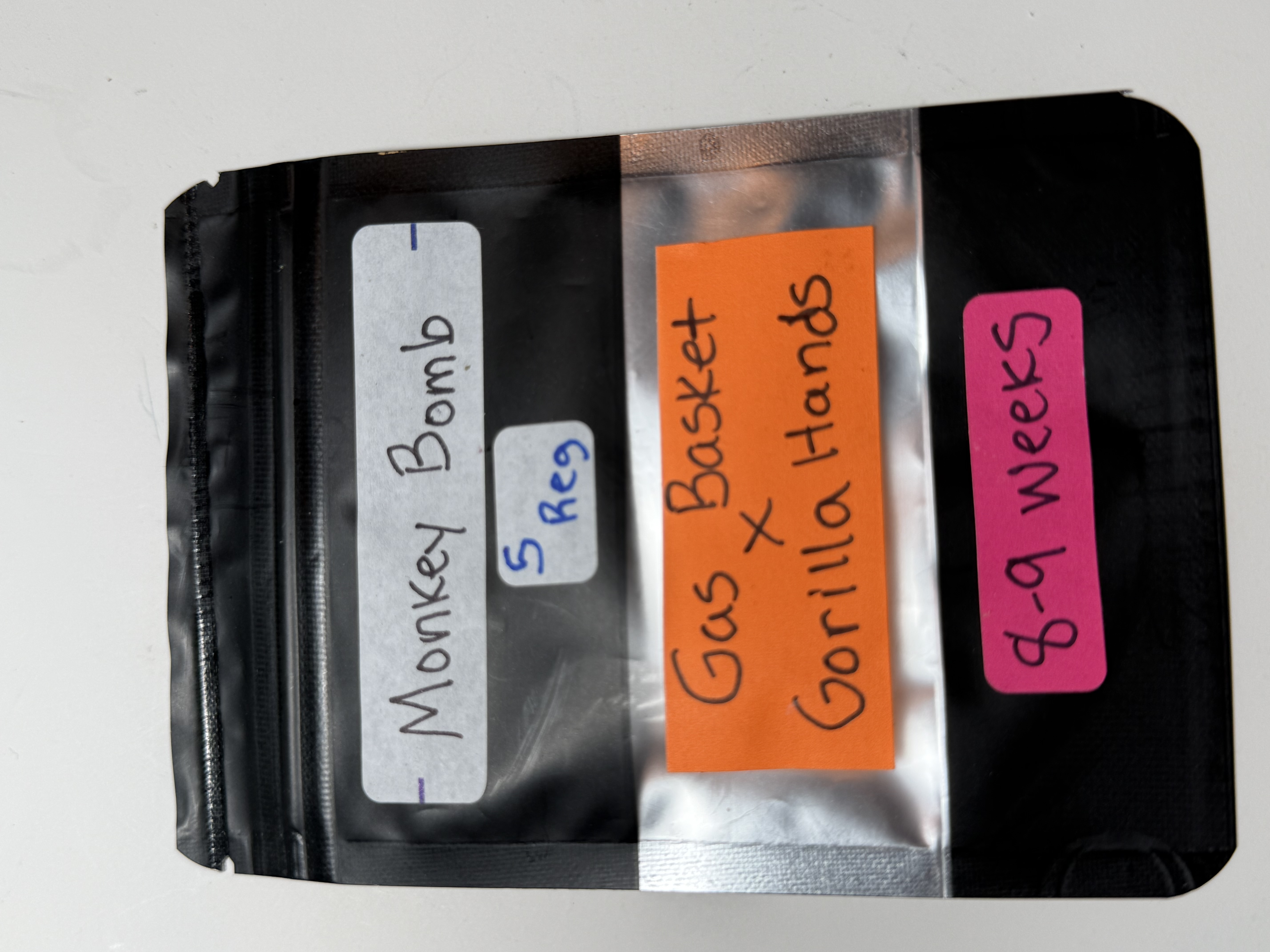 Monkey Bomb — image 1