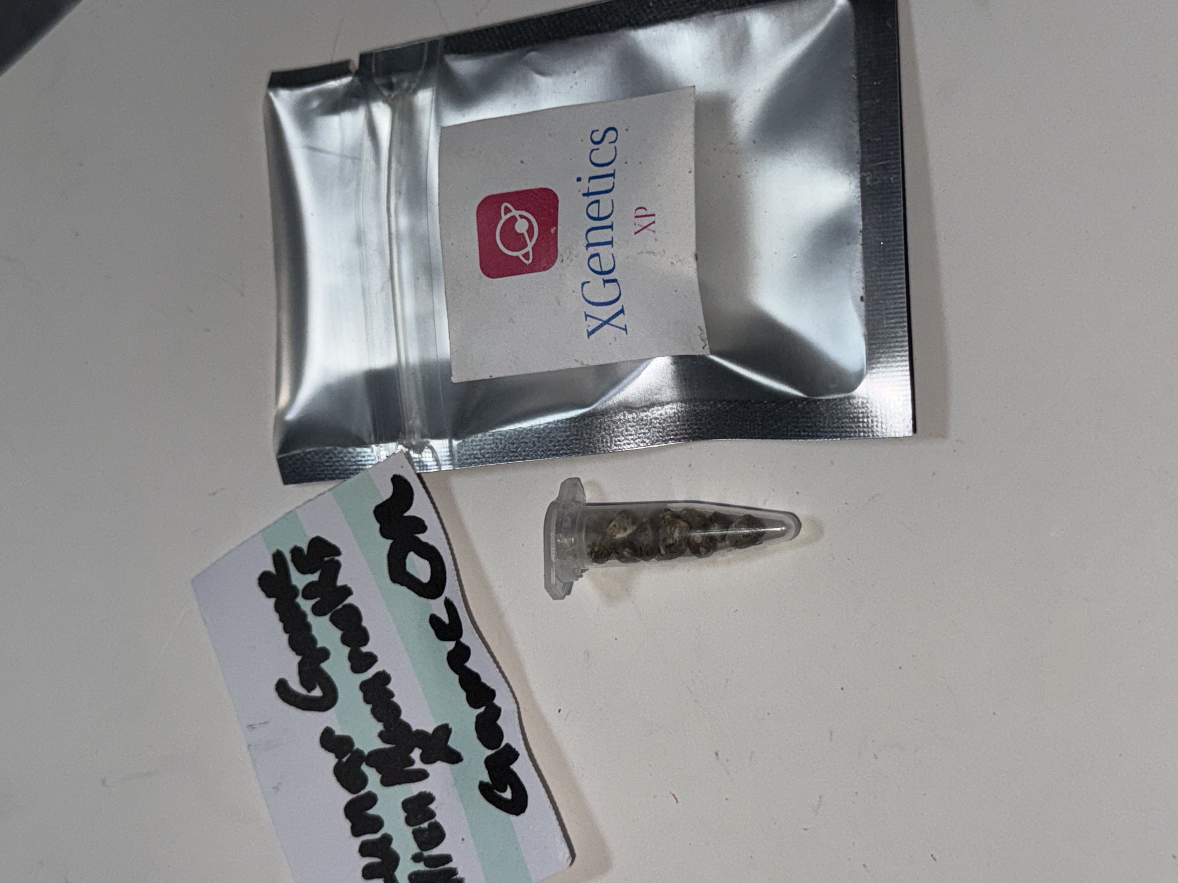 Lunar Game — image 1