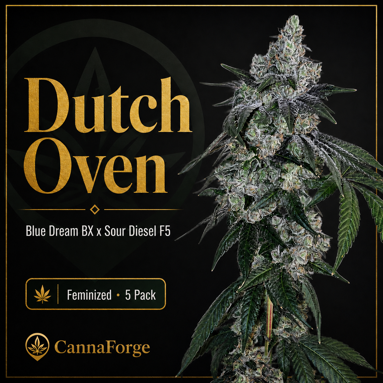Dutch Oven — image 1