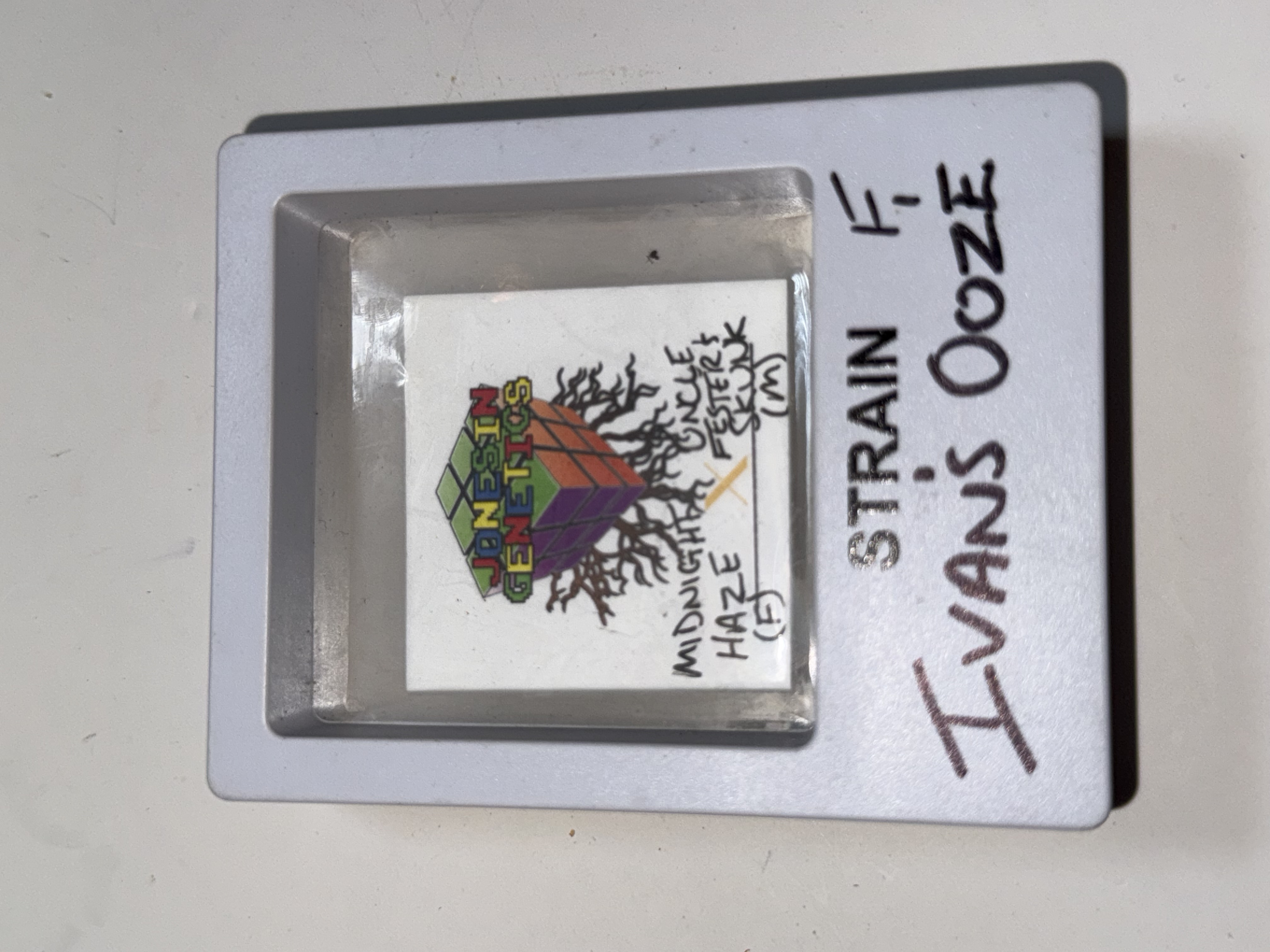 Ivan’s Ooze — image 1