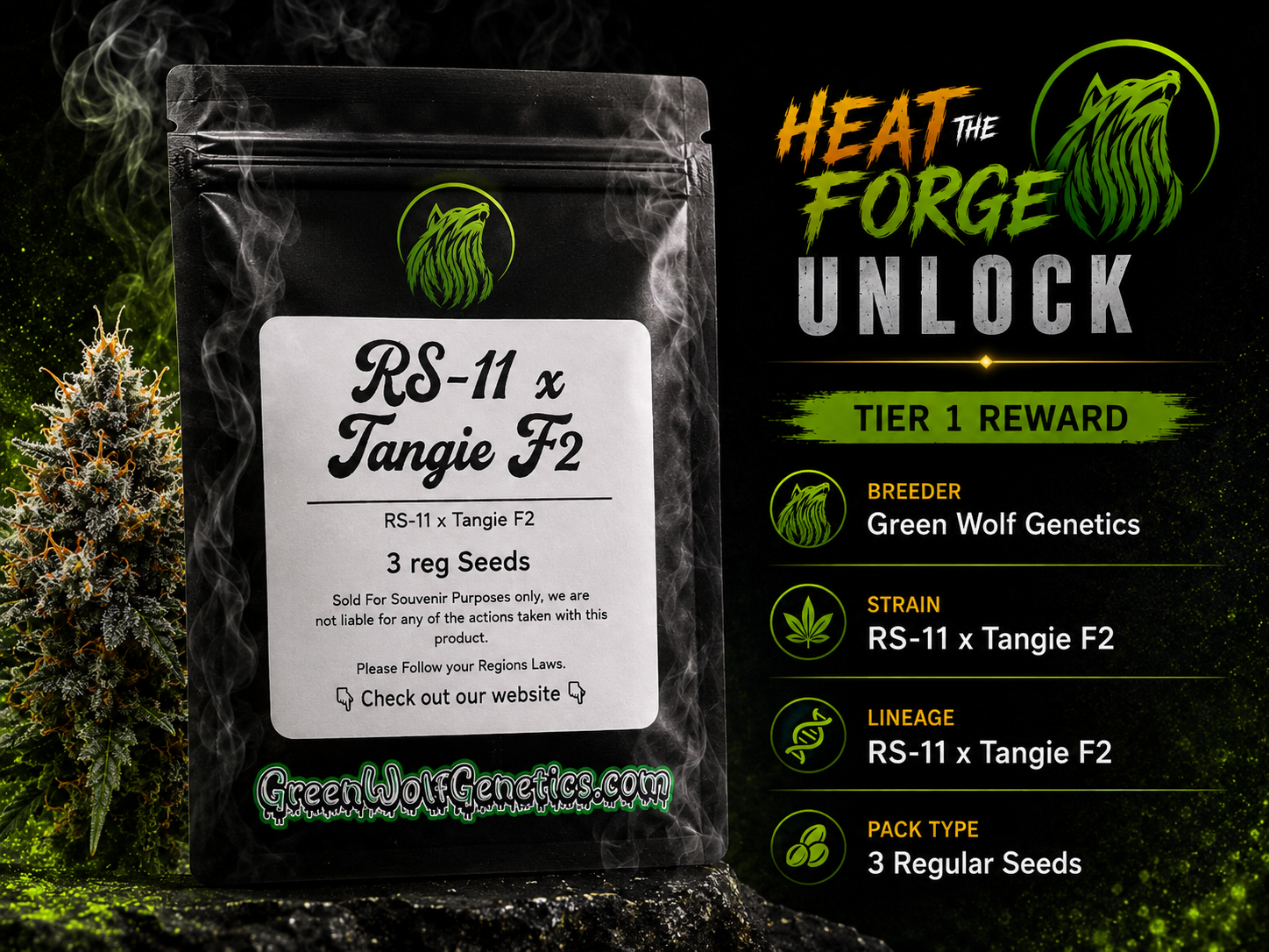 RS-11 x Tangie F2 — image 1