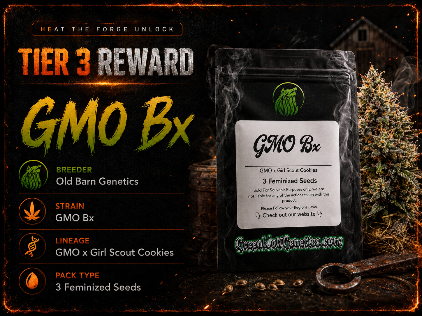 GMO Bx — image 1