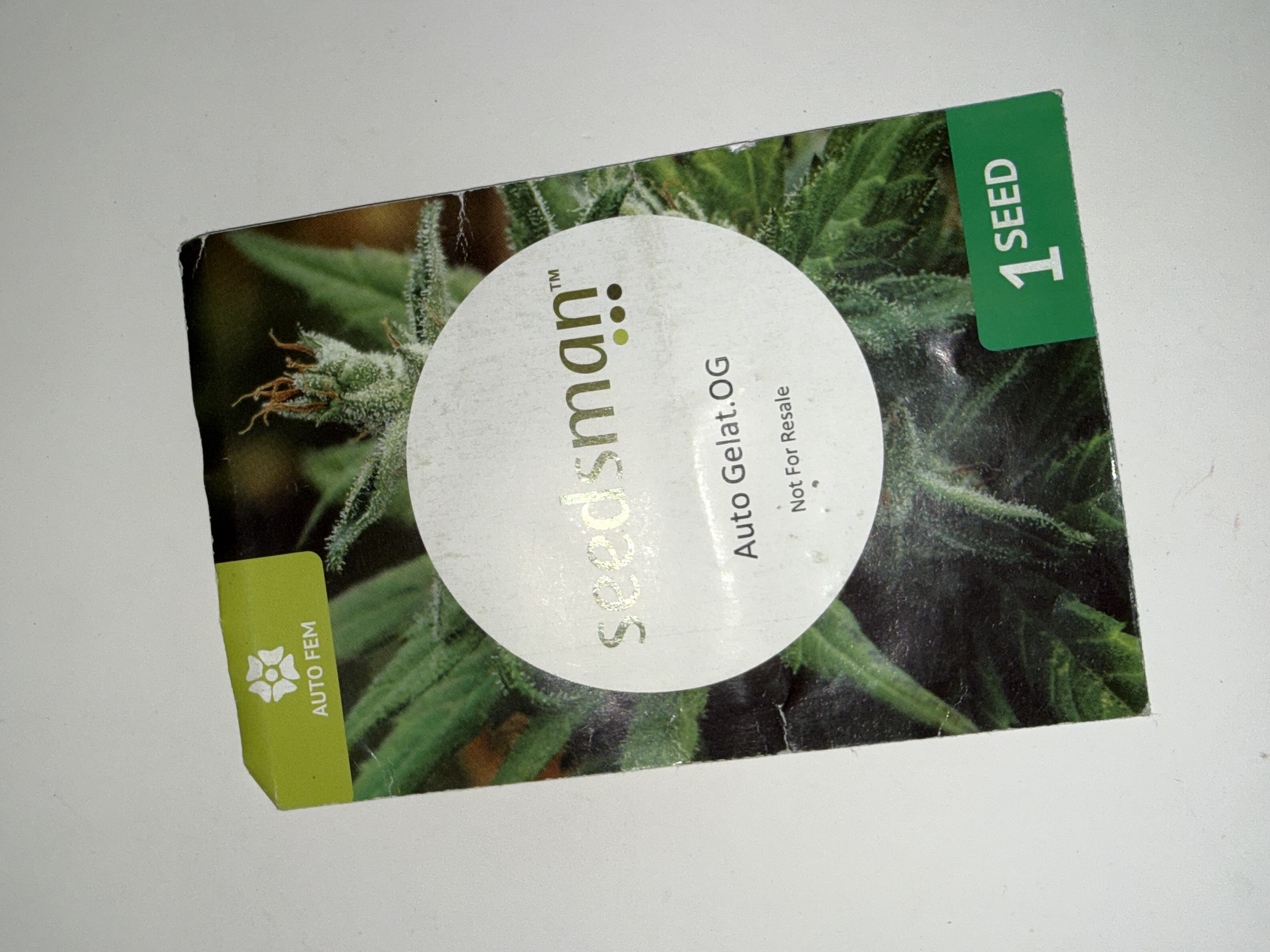 Auto Gelat.OG — image 1