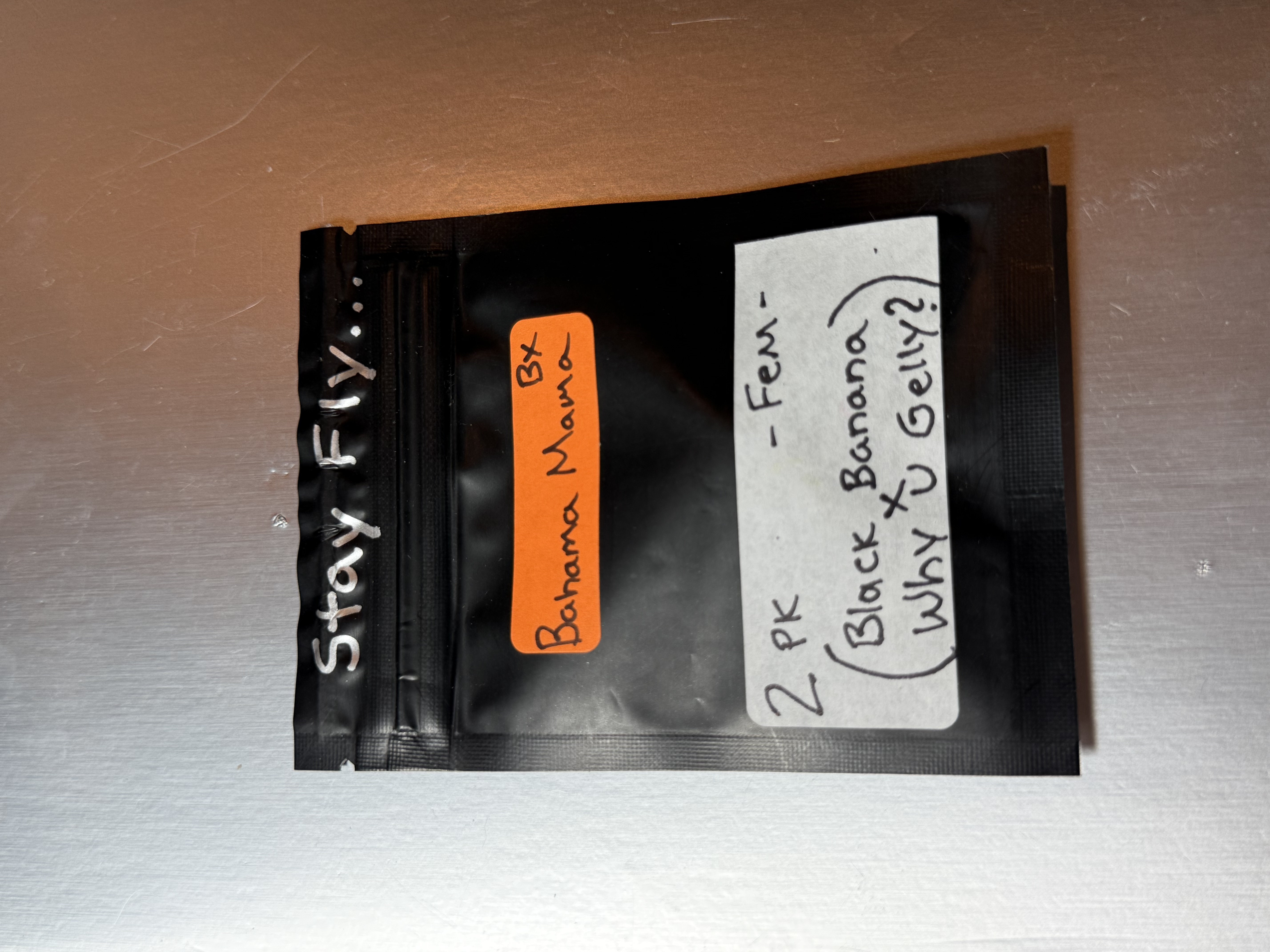 Bahama Mama Bx — image 1