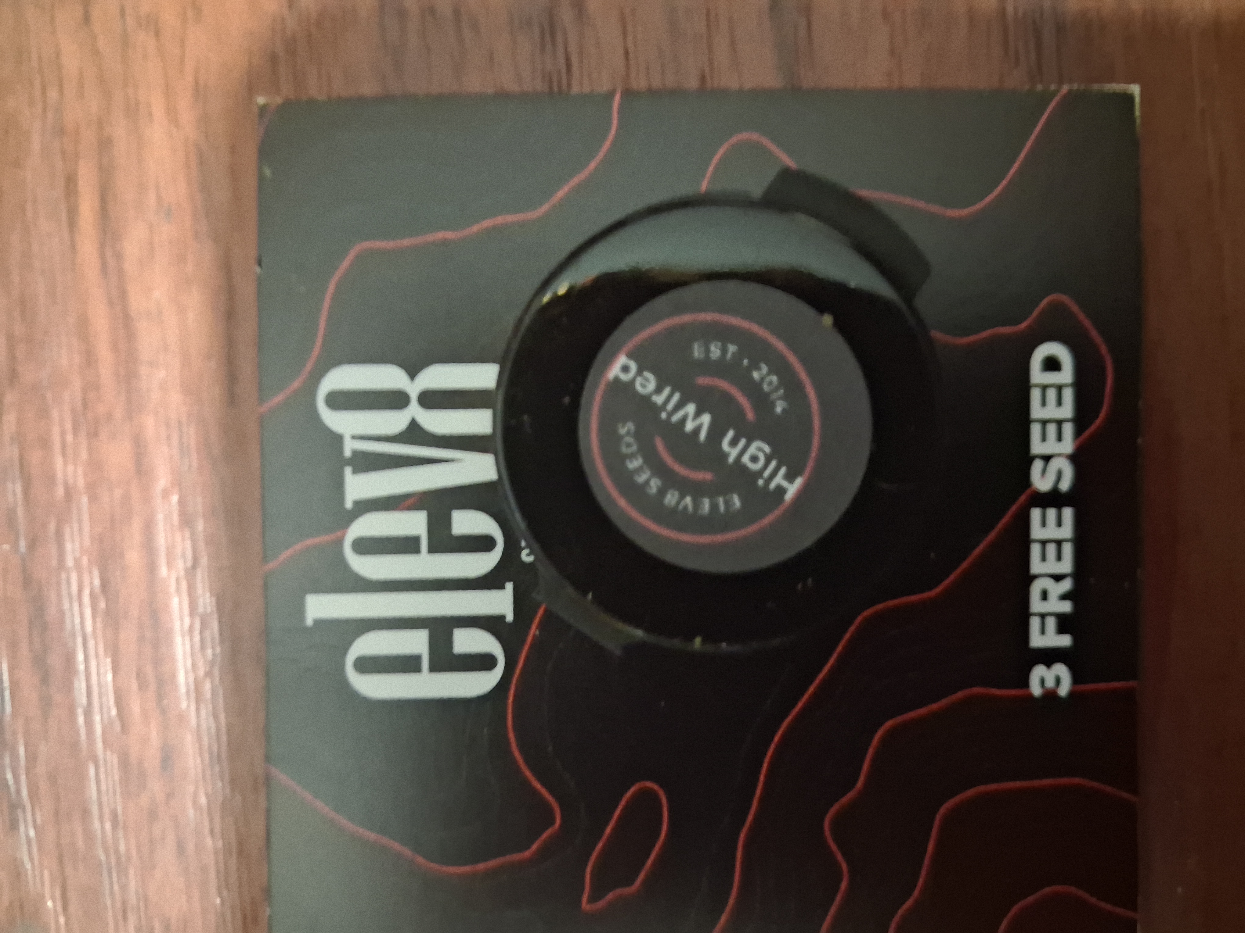 High Wired — image 1